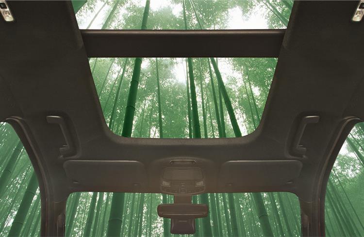 Ford sees big benefits in bamboo
