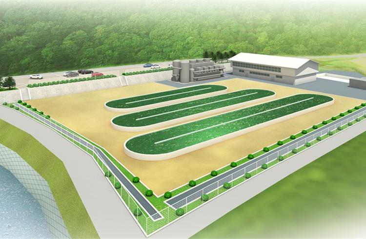 Denso plans test facility to produce biofuel from microalgae