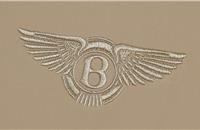 Bentley creates 53 billion-pixel image using NASA tech