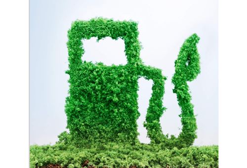 Biofuels can be the pathway to carbon-neutrality: experts at SIAM conference