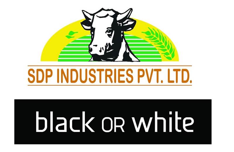 SDP Industries appoints Black or White to handle its dairy brand