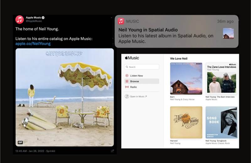 'We love Neil': Apple Music courts Spotify users amid Joe Rogan misinformation row