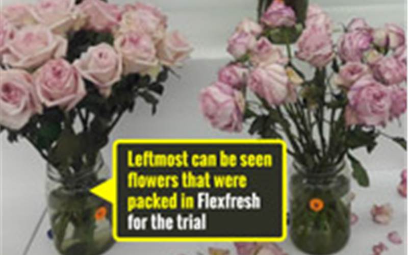 Now, cut flowers bloom in Uflex’s Flexfresh