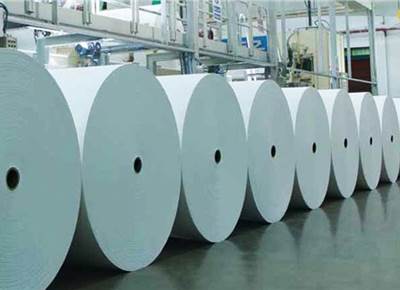 Paper industry asks for increase in import duty 