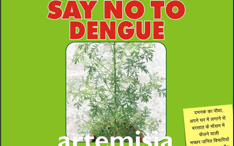 I Support Dengue Free Drive