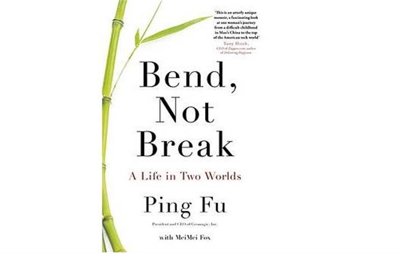 Book Review: Bend, Not Break: A Life in Two Worlds