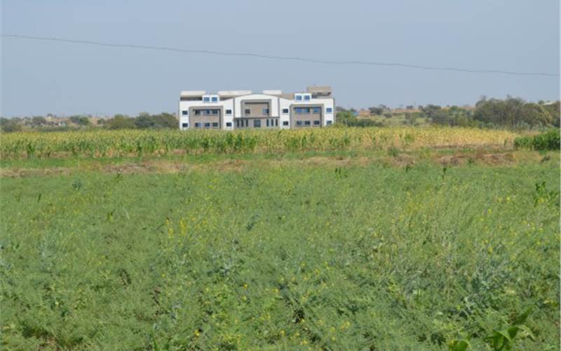 Latur is the chief producer of soyabean, mango and grapes and is also known as the "Sugar belt of India". As per reports in the media, Latur is also the proposed site of Food Park on a 50 acre plot at Harangul.